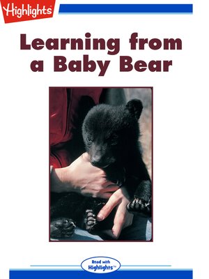 cover image of Learning from a Baby Bear
